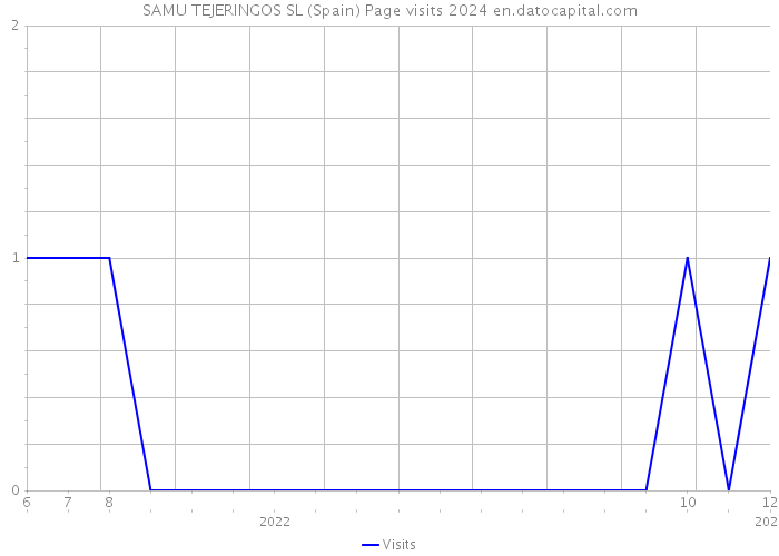 SAMU TEJERINGOS SL (Spain) Page visits 2024 