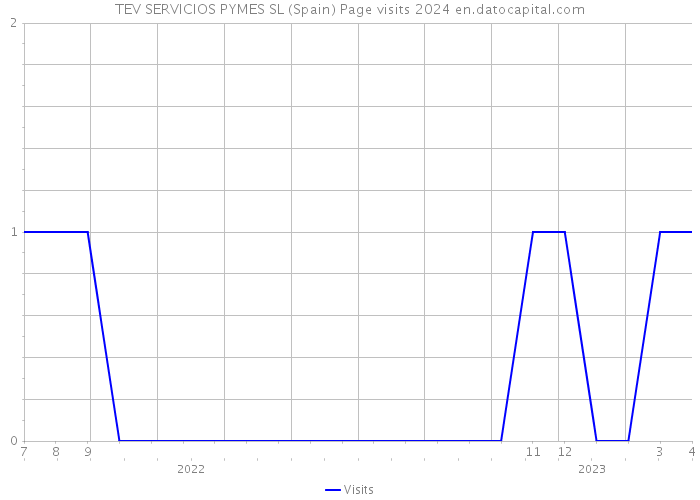 TEV SERVICIOS PYMES SL (Spain) Page visits 2024 