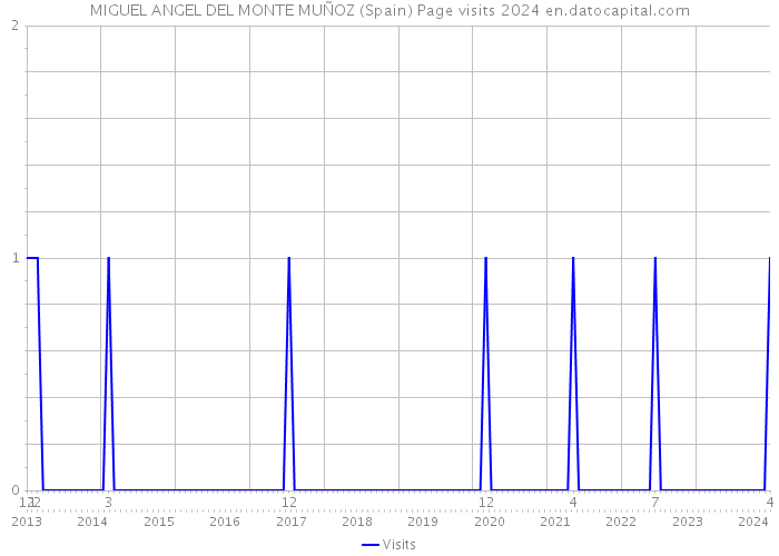 MIGUEL ANGEL DEL MONTE MUÑOZ (Spain) Page visits 2024 