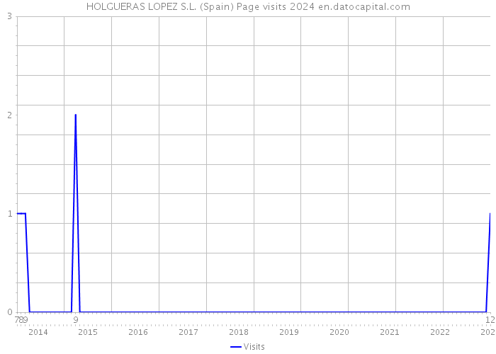 HOLGUERAS LOPEZ S.L. (Spain) Page visits 2024 