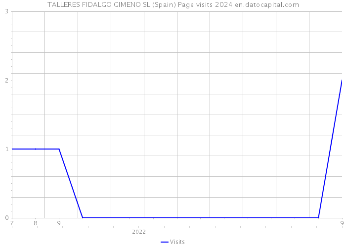 TALLERES FIDALGO GIMENO SL (Spain) Page visits 2024 