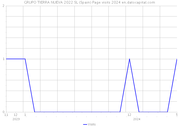 GRUPO TIERRA NUEVA 2022 SL (Spain) Page visits 2024 