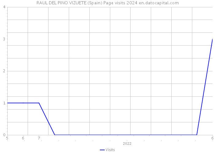 RAUL DEL PINO VIZUETE (Spain) Page visits 2024 