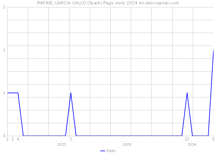 RAFAEL GARCIA GALLO (Spain) Page visits 2024 