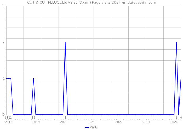CUT & CUT PELUQUERIAS SL (Spain) Page visits 2024 