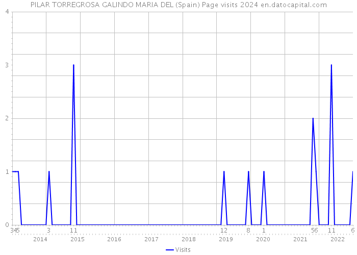PILAR TORREGROSA GALINDO MARIA DEL (Spain) Page visits 2024 