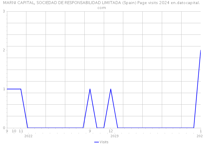 MARNI CAPITAL, SOCIEDAD DE RESPONSABILIDAD LIMITADA (Spain) Page visits 2024 