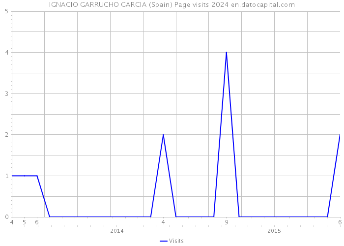 IGNACIO GARRUCHO GARCIA (Spain) Page visits 2024 