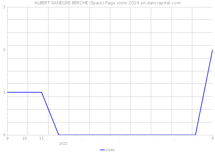 ALBERT SANEGRE BERCHE (Spain) Page visits 2024 