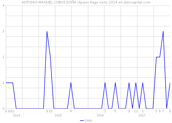 ANTONIO MANUEL COBOS DOÑA (Spain) Page visits 2024 