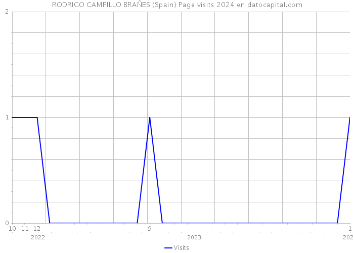 RODRIGO CAMPILLO BRAÑES (Spain) Page visits 2024 