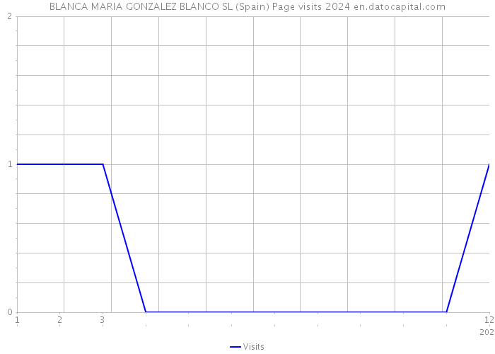 BLANCA MARIA GONZALEZ BLANCO SL (Spain) Page visits 2024 