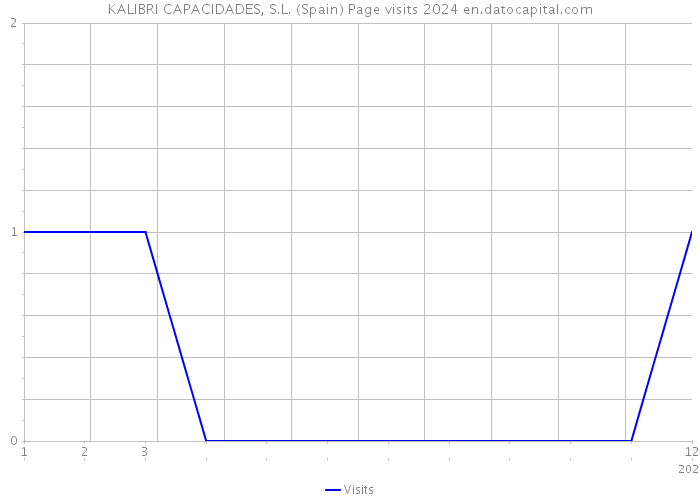 KALIBRI CAPACIDADES, S.L. (Spain) Page visits 2024 