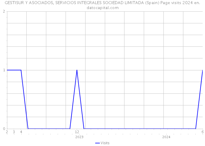 GESTISUR Y ASOCIADOS, SERVICIOS INTEGRALES SOCIEDAD LIMITADA (Spain) Page visits 2024 
