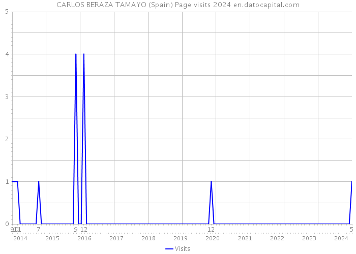 CARLOS BERAZA TAMAYO (Spain) Page visits 2024 