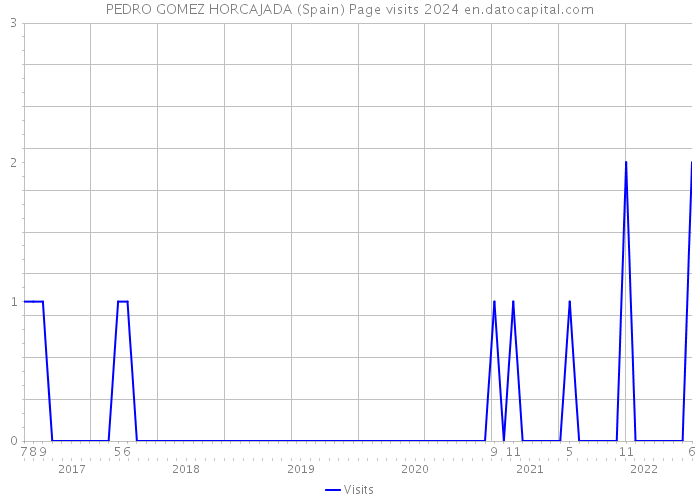 PEDRO GOMEZ HORCAJADA (Spain) Page visits 2024 