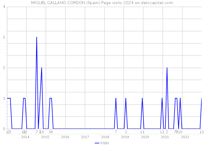 MIGUEL GALLANO CORDON (Spain) Page visits 2024 