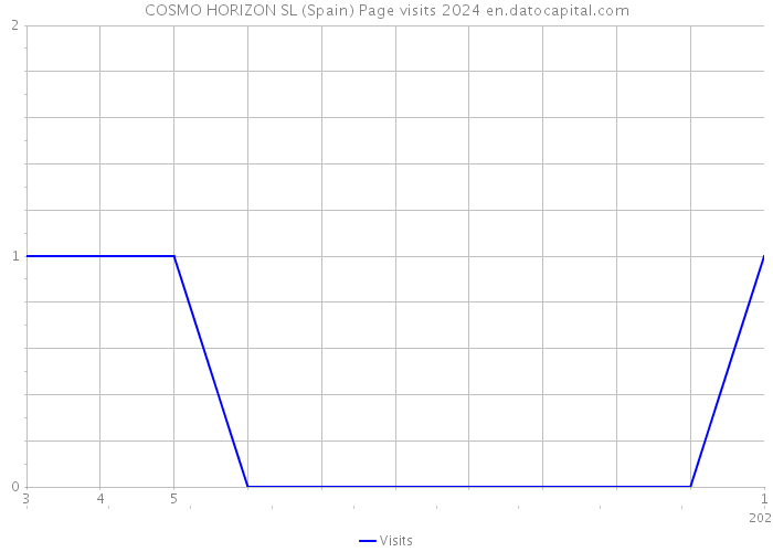 COSMO HORIZON SL (Spain) Page visits 2024 