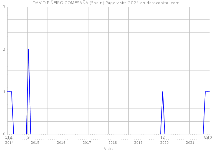 DAVID PIÑEIRO COMESAÑA (Spain) Page visits 2024 