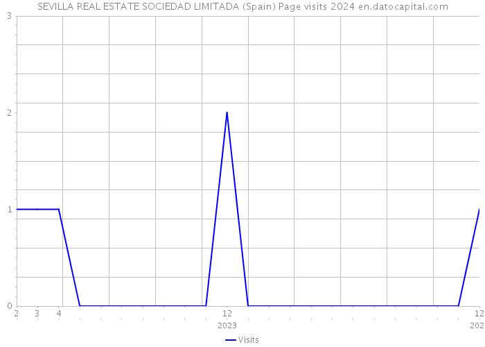 SEVILLA REAL ESTATE SOCIEDAD LIMITADA (Spain) Page visits 2024 