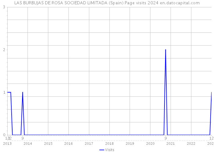 LAS BURBUJAS DE ROSA SOCIEDAD LIMITADA (Spain) Page visits 2024 