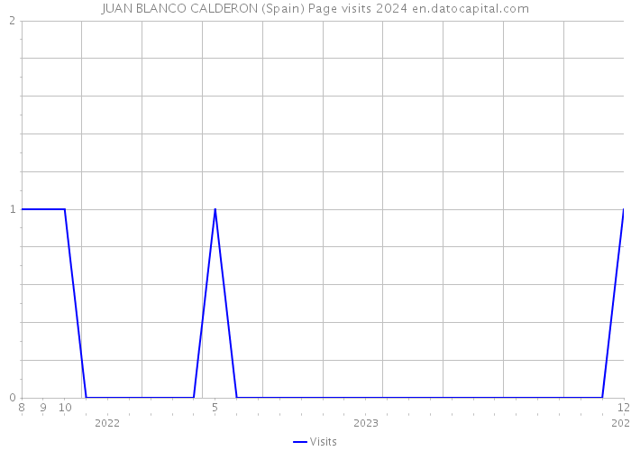 JUAN BLANCO CALDERON (Spain) Page visits 2024 