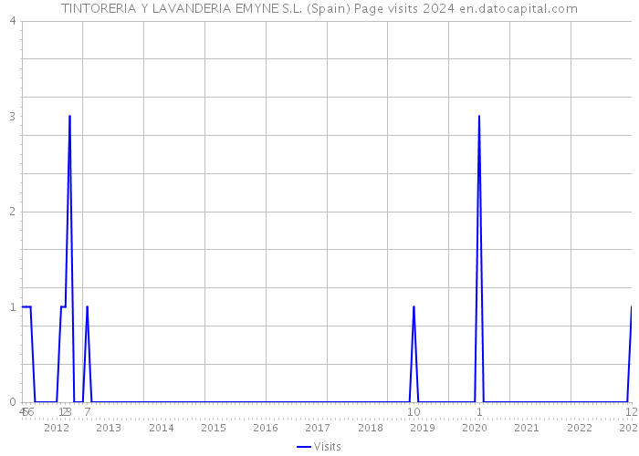 TINTORERIA Y LAVANDERIA EMYNE S.L. (Spain) Page visits 2024 