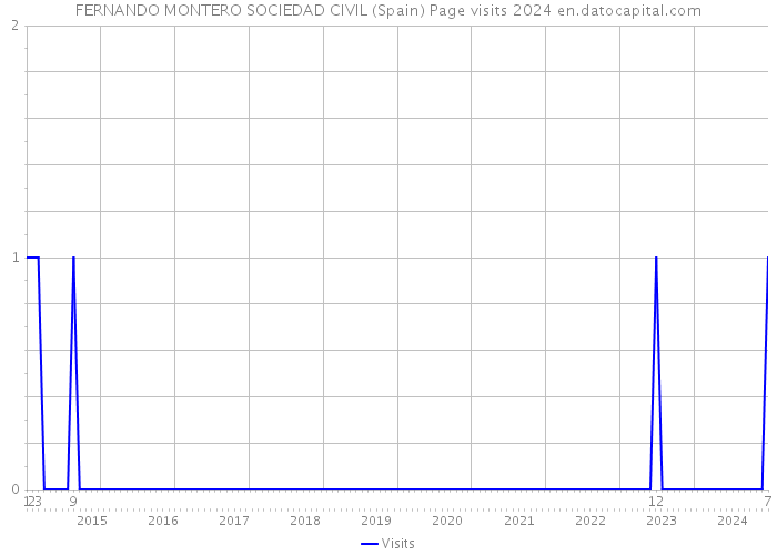 FERNANDO MONTERO SOCIEDAD CIVIL (Spain) Page visits 2024 