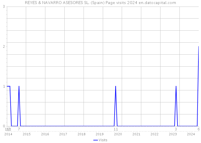 REYES & NAVARRO ASESORES SL. (Spain) Page visits 2024 