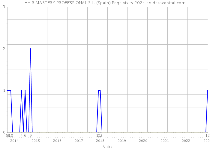 HAIR MASTERY PROFESSIONAL S.L. (Spain) Page visits 2024 