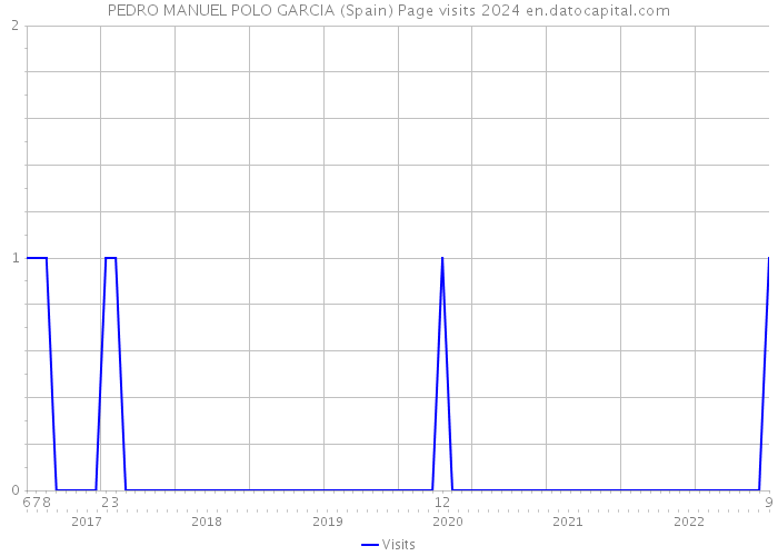 PEDRO MANUEL POLO GARCIA (Spain) Page visits 2024 