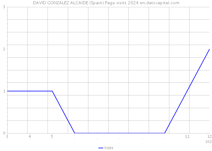 DAVID GONZALEZ ALCAIDE (Spain) Page visits 2024 