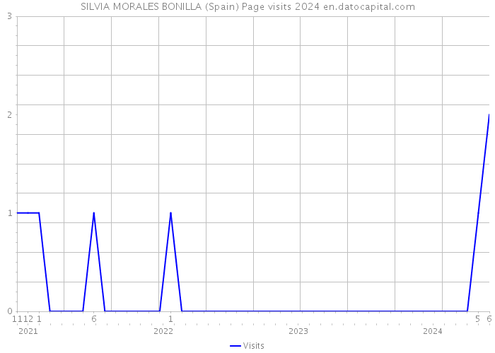 SILVIA MORALES BONILLA (Spain) Page visits 2024 