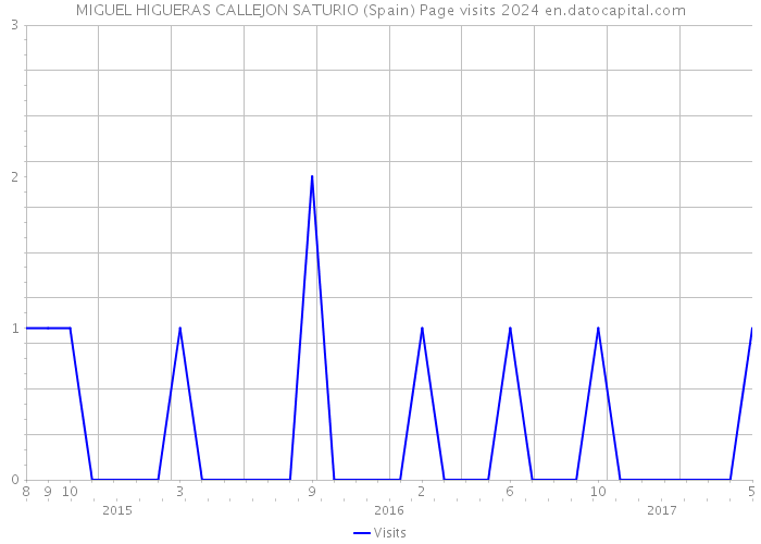 MIGUEL HIGUERAS CALLEJON SATURIO (Spain) Page visits 2024 