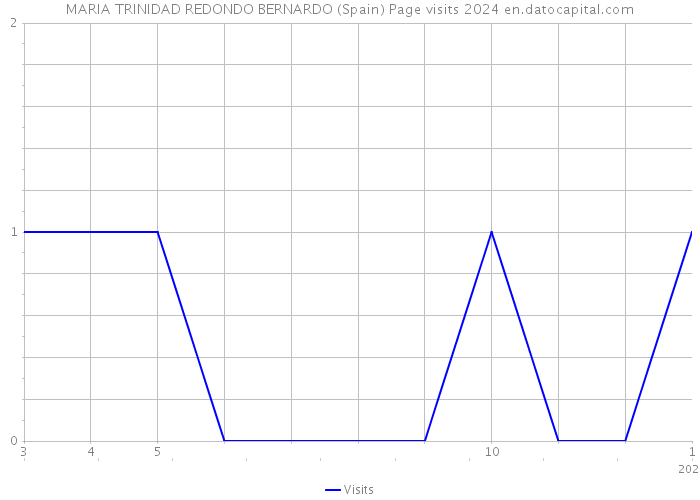 MARIA TRINIDAD REDONDO BERNARDO (Spain) Page visits 2024 