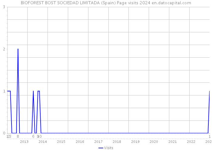 BIOFOREST BOST SOCIEDAD LIMITADA (Spain) Page visits 2024 