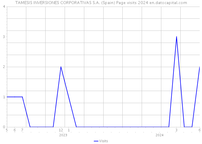 TAMESIS INVERSIONES CORPORATIVAS S.A. (Spain) Page visits 2024 