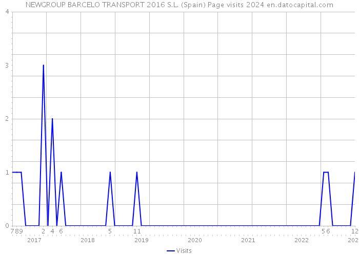 NEWGROUP BARCELO TRANSPORT 2016 S.L. (Spain) Page visits 2024 