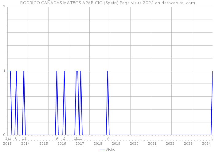 RODRIGO CAÑADAS MATEOS APARICIO (Spain) Page visits 2024 