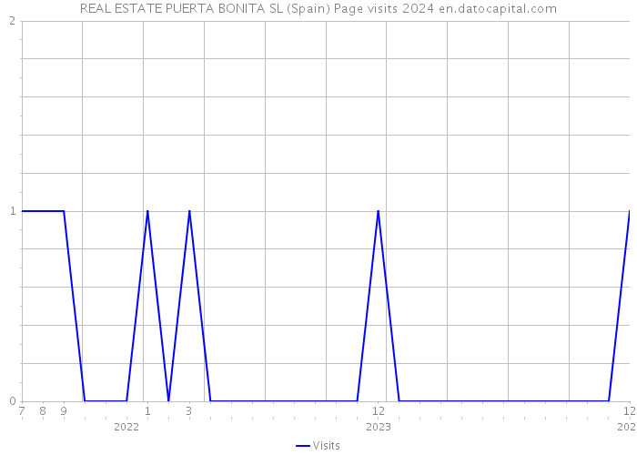 REAL ESTATE PUERTA BONITA SL (Spain) Page visits 2024 
