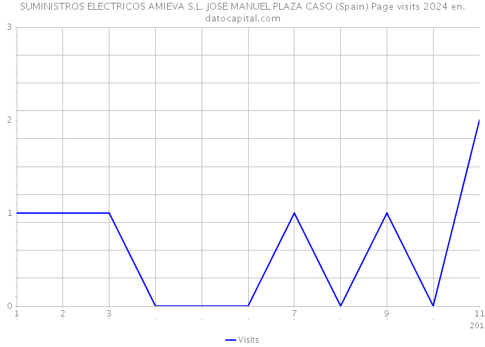 SUMINISTROS ELECTRICOS AMIEVA S.L. JOSE MANUEL PLAZA CASO (Spain) Page visits 2024 