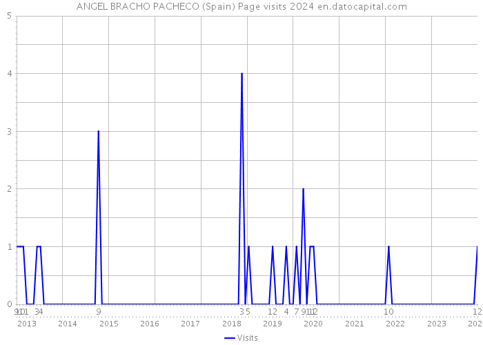 ANGEL BRACHO PACHECO (Spain) Page visits 2024 