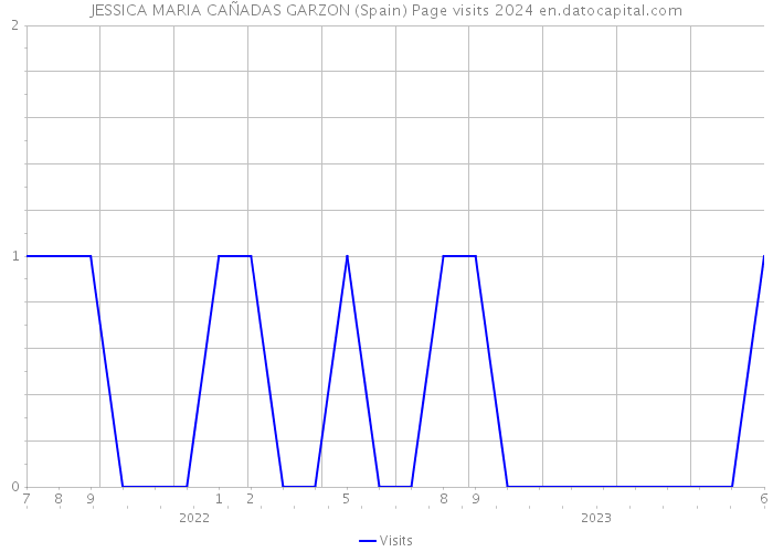 JESSICA MARIA CAÑADAS GARZON (Spain) Page visits 2024 