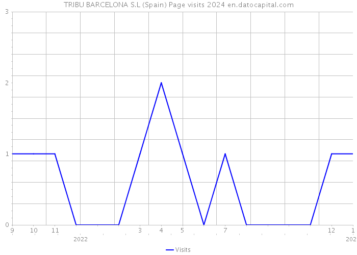 TRIBU BARCELONA S.L (Spain) Page visits 2024 