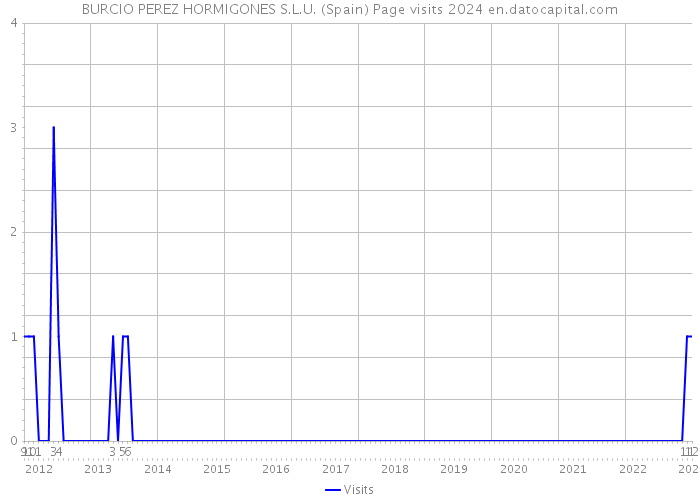 BURCIO PEREZ HORMIGONES S.L.U. (Spain) Page visits 2024 