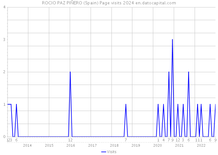 ROCIO PAZ PIÑERO (Spain) Page visits 2024 