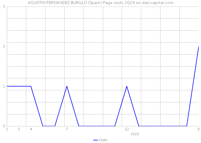 AGUSTIN FERNANDEZ BURILLO (Spain) Page visits 2024 