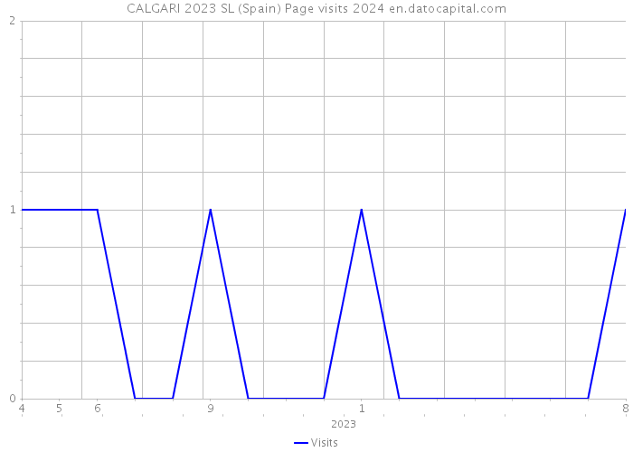 CALGARI 2023 SL (Spain) Page visits 2024 