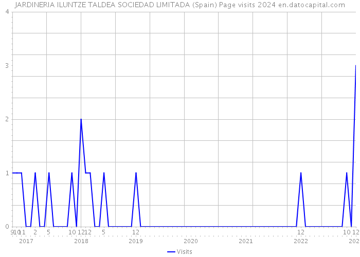 JARDINERIA ILUNTZE TALDEA SOCIEDAD LIMITADA (Spain) Page visits 2024 