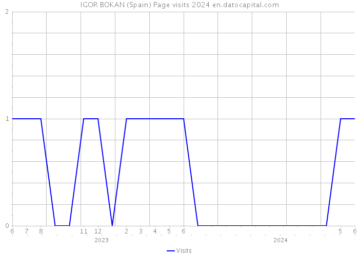 IGOR BOKAN (Spain) Page visits 2024 